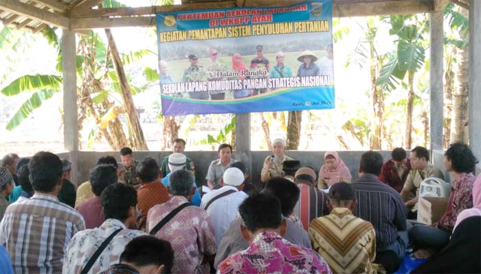 LTT Juli 2018, PJ Upsus Kebumen Optimistis Target 376 Hektar Tercapai